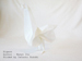 origami Pigeon, Author : Manyo Ito, Folded by Tatsuto Suzuki